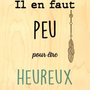 MAGNET BOIS IL EN FAUT PEU