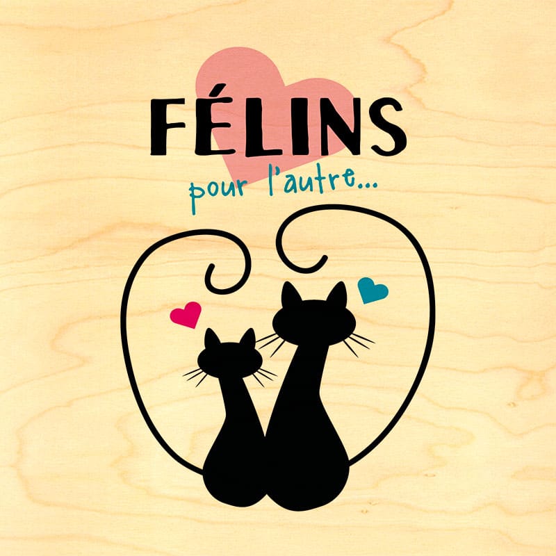 hironwoods-poster-bois-f-lins-pour-l-autre-humour image 1
