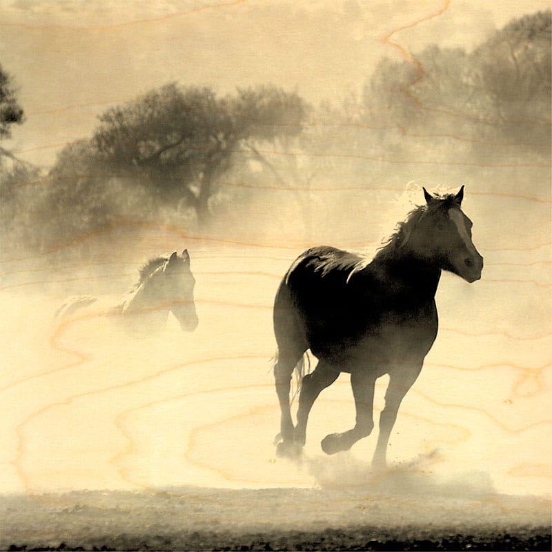 hironwoods-poster-bois-chevaux-brume-300x300mm image 1