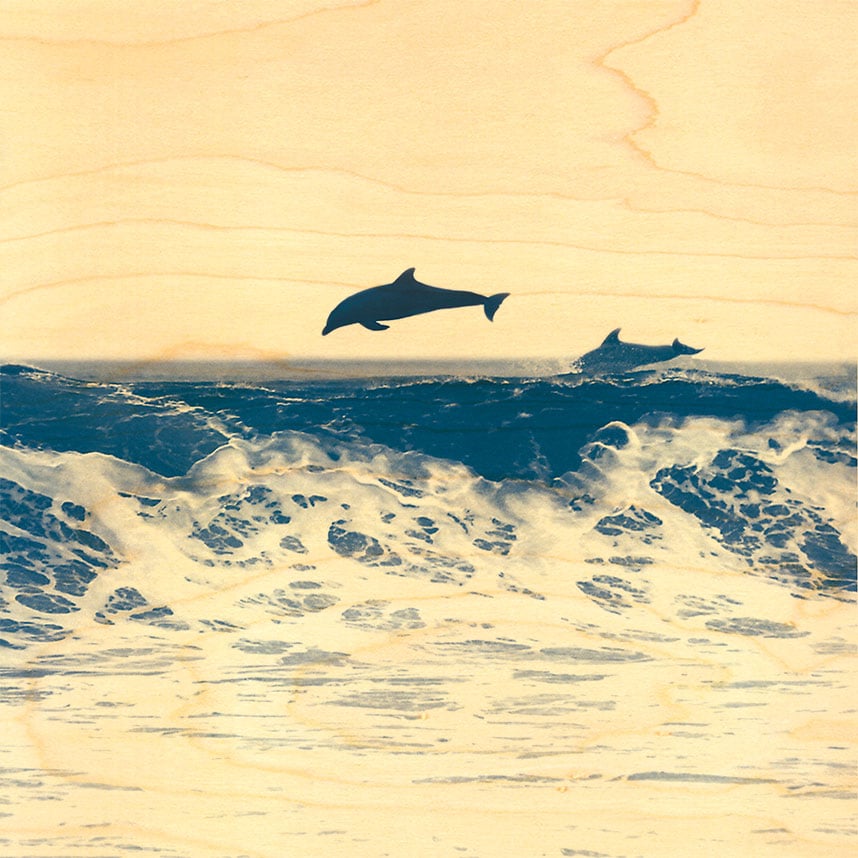 hironwoods-posters-en-bois-poster-bois-dauphin-saut-300x300-mm image 1
