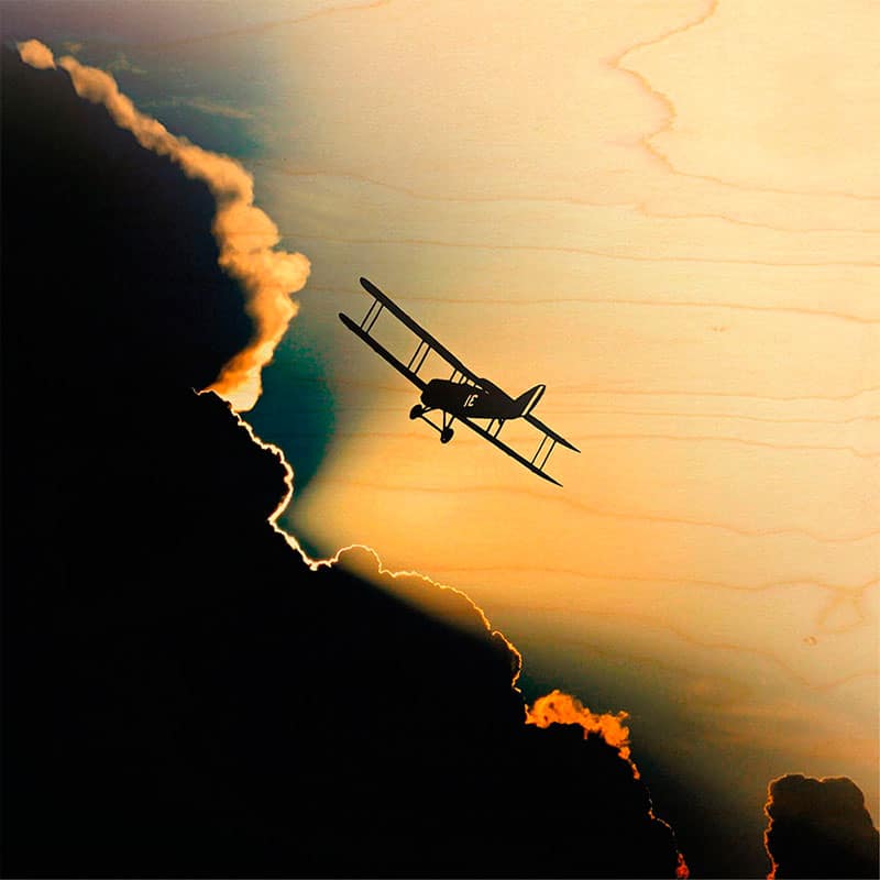 hironwoods-biplan-poster-bois-300x300mm image 1