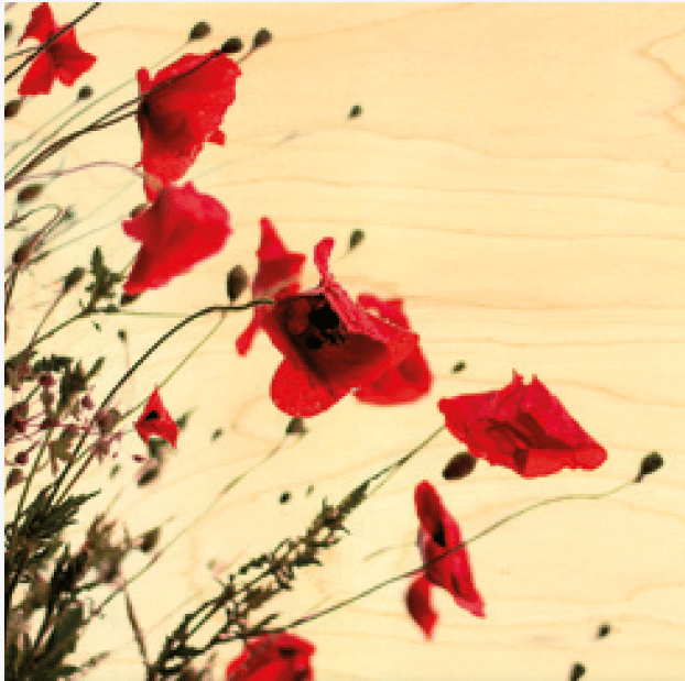 hironwoods-posters-en-bois-poster-bois-coquelicots-30x30cm image 1
