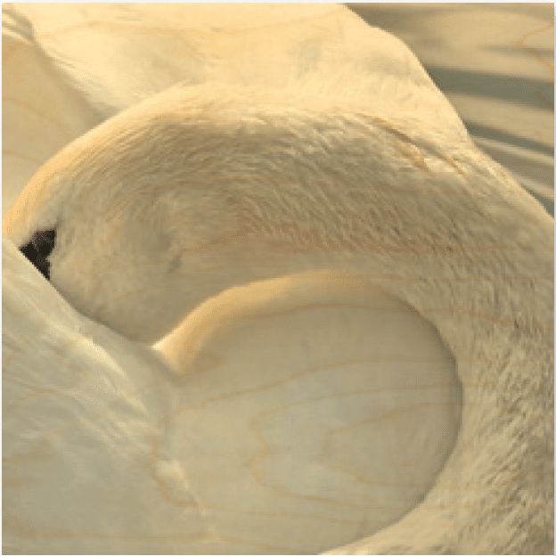 hironwoods-cygne-cou-poster-bois-300x300mm-animaux image 1