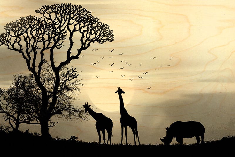 hironwoods-carte-postale-bois-silhouettes-savane-100x150 image 1