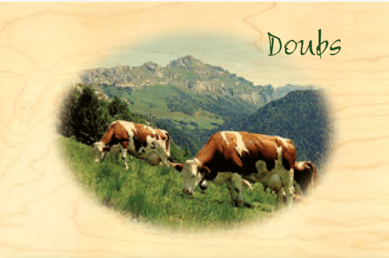 hironwoods-carte-postale-bois-doubs-vaches-100x150mm image 1