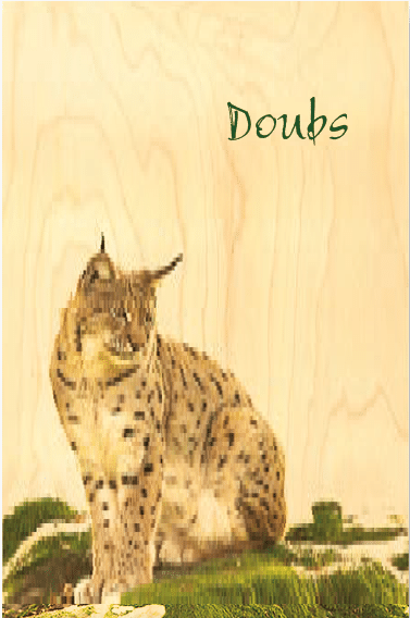 hironwoods-cartes-postales-doubs-lynx-carte-postale-bois-100x150mm image 1