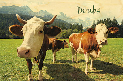 hironwoods-carte-bois-doubs-deux-vaches-montb-liardes-100x150 image 1