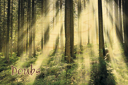 hironwoods-carte-postale-bois-doubs-for-t-lumi-re-100x150 image 1