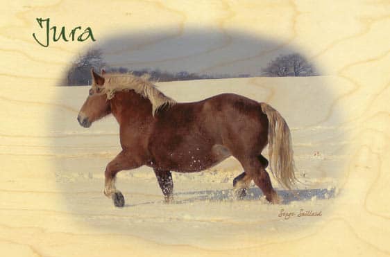 hironwoods-cartes-postales-en-bois-cheval-comtois-neige-jura image 1
