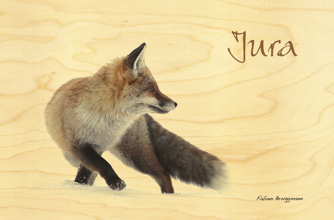 hironwoods-renard-jura-carte-bois-10x15cm-nature image 1
