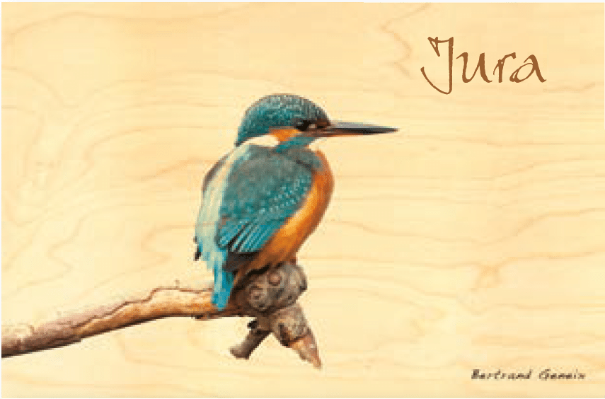 hironwoods-martin-p-cheur-jura-carte-postale-bois-100x150-oiseau image 1