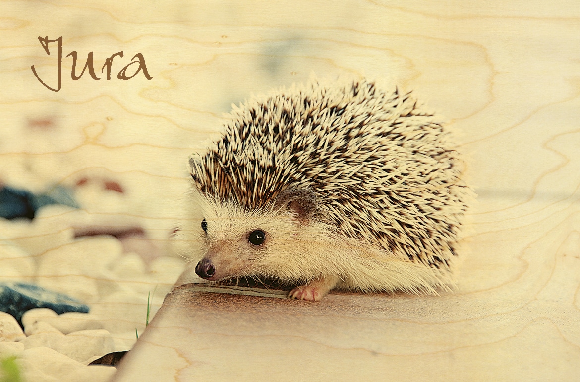 hironwoods-h-risson-jura-carte-postale-bois-10x15cm-france image 1