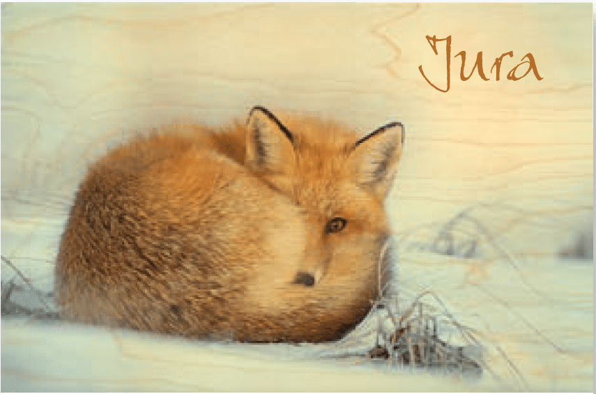 hironwoods-renard-boule-jura-carte-postale-bois-10x15cm image 1