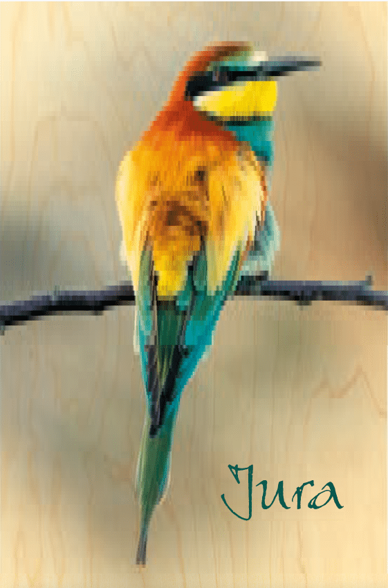 hironwoods-carte-postale-bois-gu-pier-jura-carte-postale-100x150mm-oiseau image 1