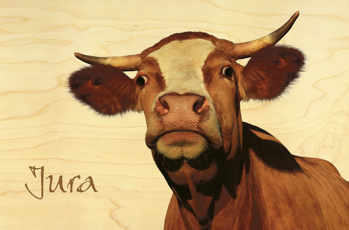 hironwoods-vache-jura-carte-postale-bois-10x15-cm image 1