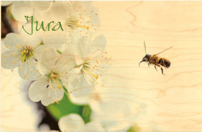 hironwoods-abeille-vol-carte-postale-bois-100x150mm-jura image 1