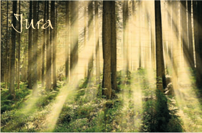 hironwoods-carte-postale-bois-for-t-lumi-re-jura-100x150 image 1