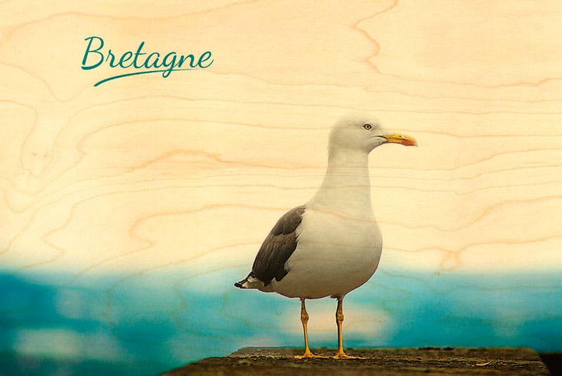 hironwoods-bretagne-goeland-carte-postale-bois-100x150mm image 1