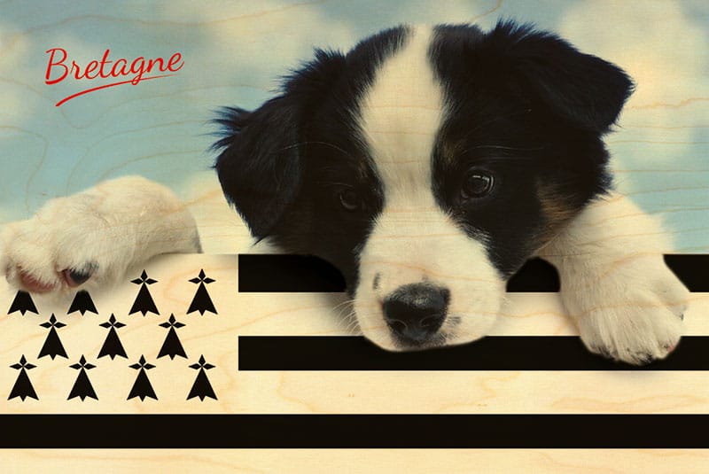 hironwoods-carte-postale-bois-bretagne-chien-100x150mm image 1