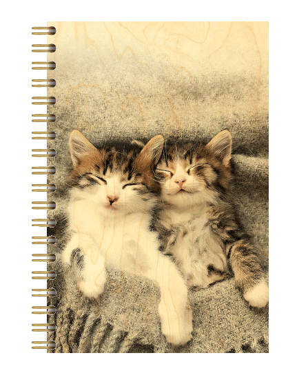hironwoods-carnets-carnet-couverture-bois-chatons-146x94mm image 1