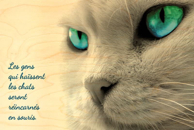 hironwoods-les-gens-qui-haissent-carte-postale-bois-citation-100x150 image 1
