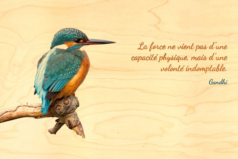 hironwoods-martin-p-cheur-carte-postale-bois-oiseau-100x150mm image 1