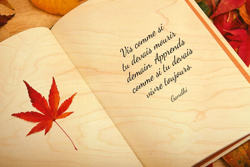 hironwoods-carte-postale-bois-citation-livre-lecture image 1