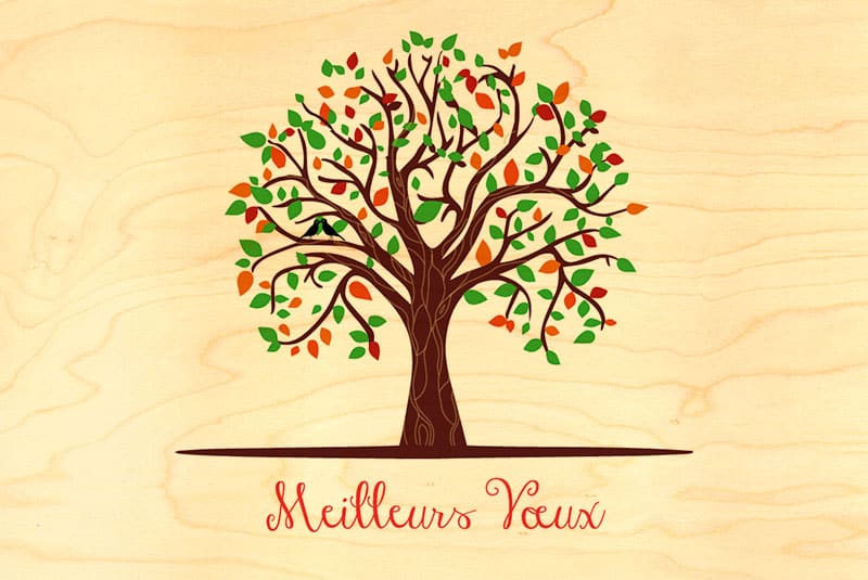 hironwoods-carte-de-v-ux-bois-arbre-vert-rouge-100x150mm image 1