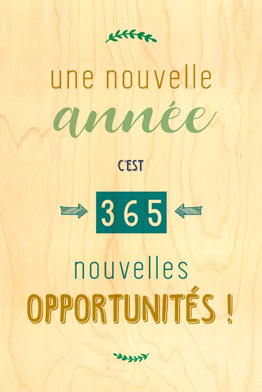 hironwoods-365-opportunit-s-carte-de-v-ux-bois image 1