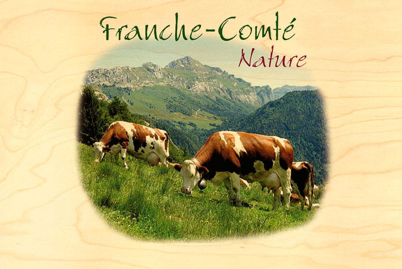 hironwoods-cartes-postales-vaches-carte-postale-bois-100x150mm image 1
