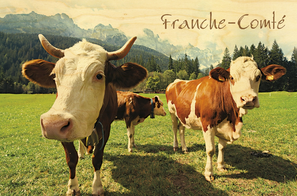 hironwoods-carte-postale-bois-vache-montb-liarde-franche-comt image 1