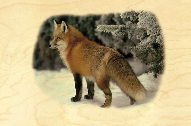 hironwoods-magnets-en-bois-aimant-renard-neige image 1