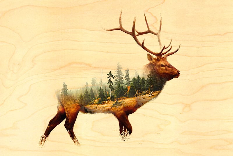 hironwoods-magnets-en-bois-cerf-for-t-doubs-magnet-bois-animaux image 1