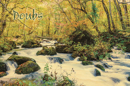 hironwoods-torrent-for-t-doubs-magnet-bois-nature image 1
