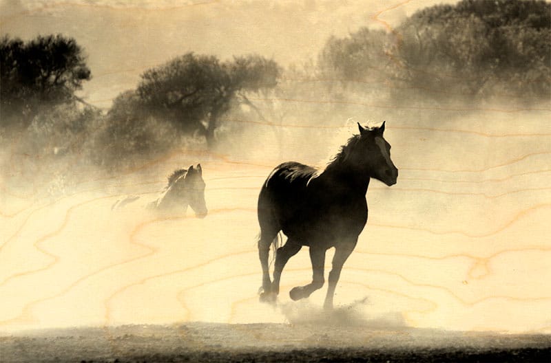 hironwoods-magnets-en-bois-cheval-brume-magnet-bois image 1