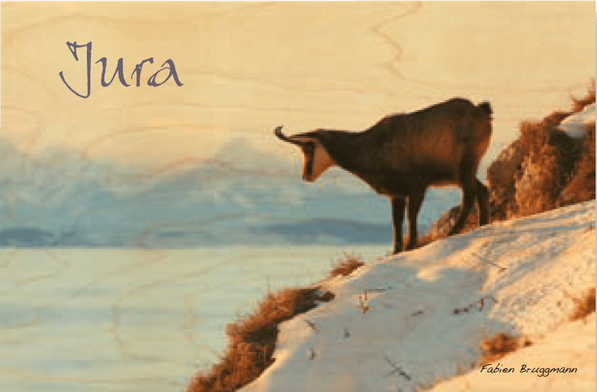 hironwoods-magnets-en-bois-magnet-bois-chamois-jura image 1