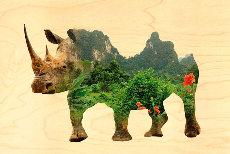 hironwoods-rhino-magnet-bois-animaux-frigo-d-co image 1