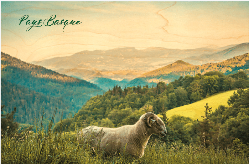 hironwoods-magnets-en-bois-magnet-latcha-montagne-basque image 1