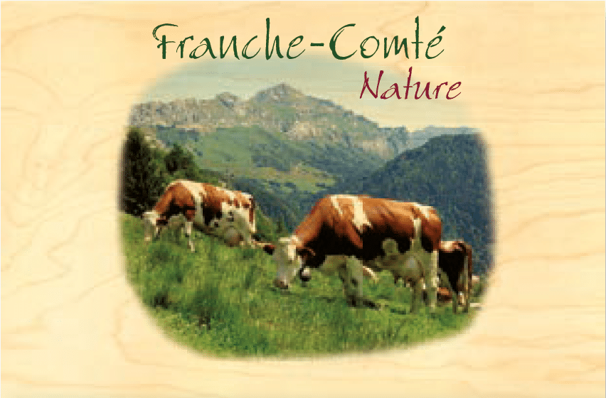 hironwoods-magnets-en-bois-magnet-vaches-franche-comt-bois image 1