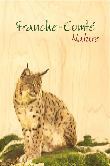 hironwoods-lynx-franche-comt-magnet-bois image 1