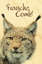 hironwoods-magnets-en-bois-lynx-franche-comt-magnet-bois-animaux image 1