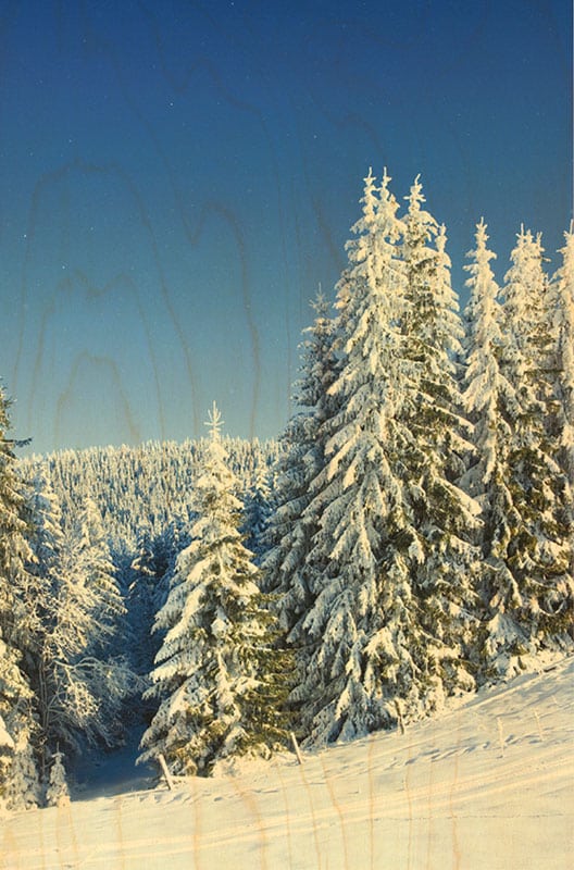 hironwoods-magnets-sapins-neige-magnet-bois-sapins image 1