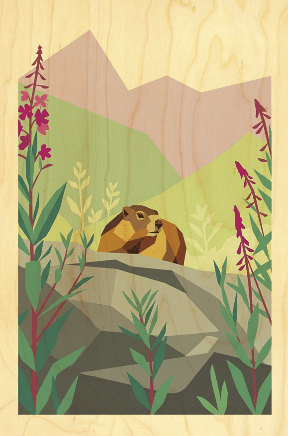 hironwoods-carte-postale-bois-pastel-marmotte-100x150mm image 1