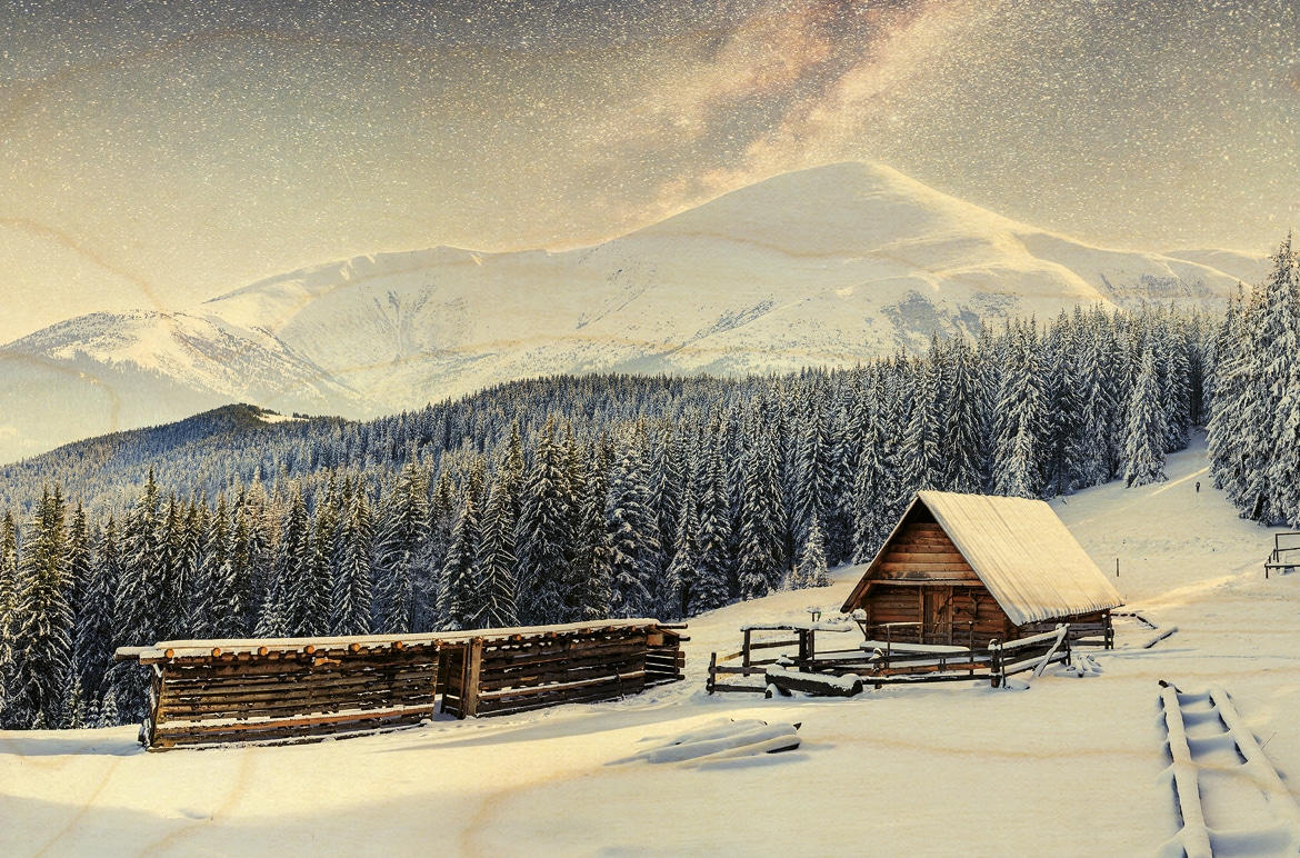 hironwoods-carte-postale-bois-chalet-for-t-100x150mm image 1
