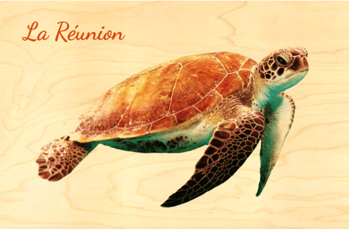 hironwoods-carte-postale-r-union-tortue-bois-100x150mm image 1