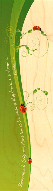 hironwoods-cocci-reconnais-marque-page-bois-signet image 1