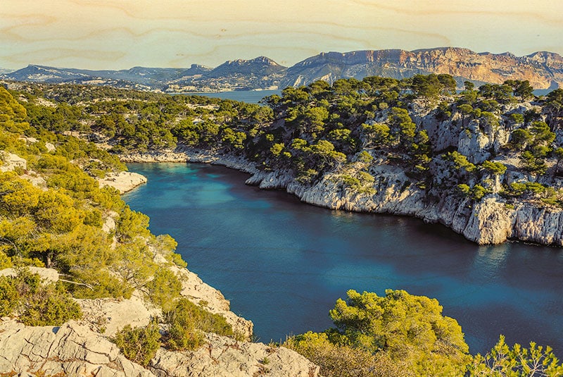 hironwoods-calanque-pin-carte-postale-bois-100x150mm image 1