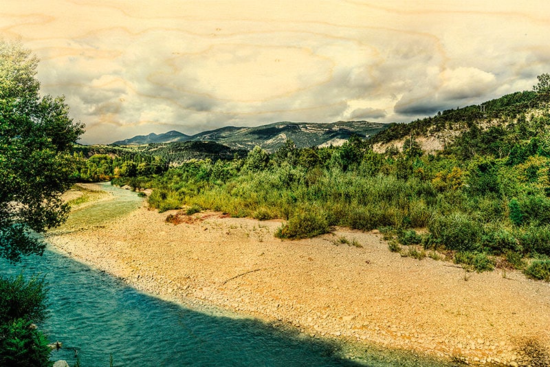 hironwoods-carte-postale-carte-bois-rivi-re-sud-100x150mm image 1