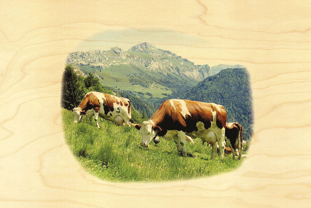 hironwoods-carte-postale-bois-montb-liarde-vaches-paysage image 1