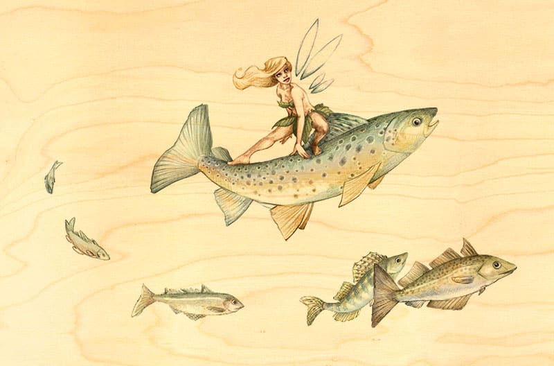 hironwoods-carte-postale-bois-f-e-poissons-100x150mm image 1